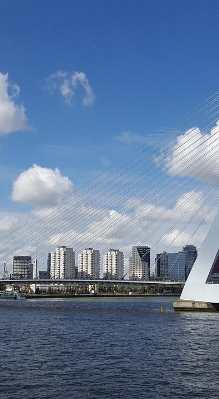 leukste teamuitjes rotterdam