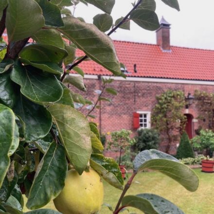 BiteMe Food Tours The Hague